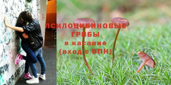 ECSTASY Волоколамск
