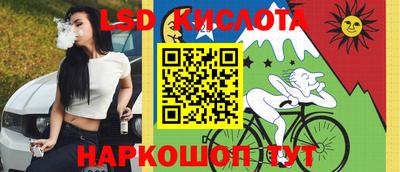 кокс Берёзовский