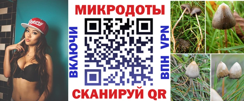 Галлюциногенные грибы прущие грибы  дарнет шоп  Городец 