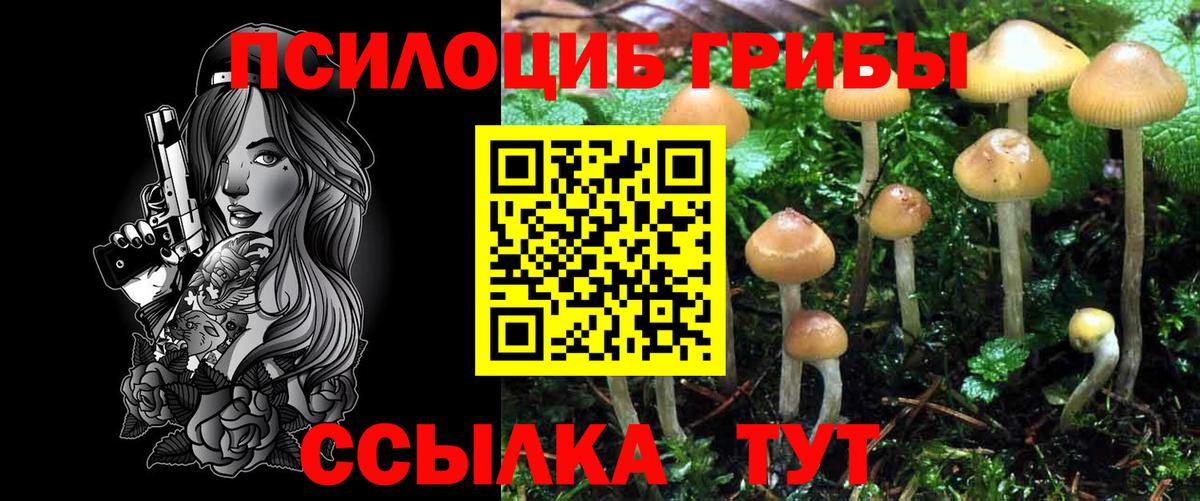 Галлюциногенные грибы мицелий  Вход с VPN  Городец  Псилоцибиновые грибы Magic Shrooms 