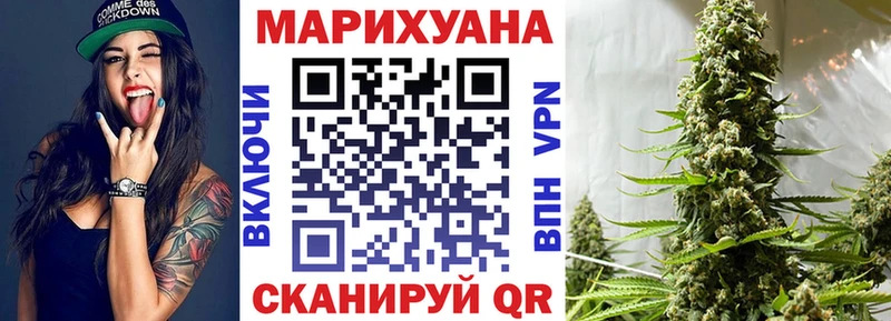 где купить   Городец  Каннабис сатива 